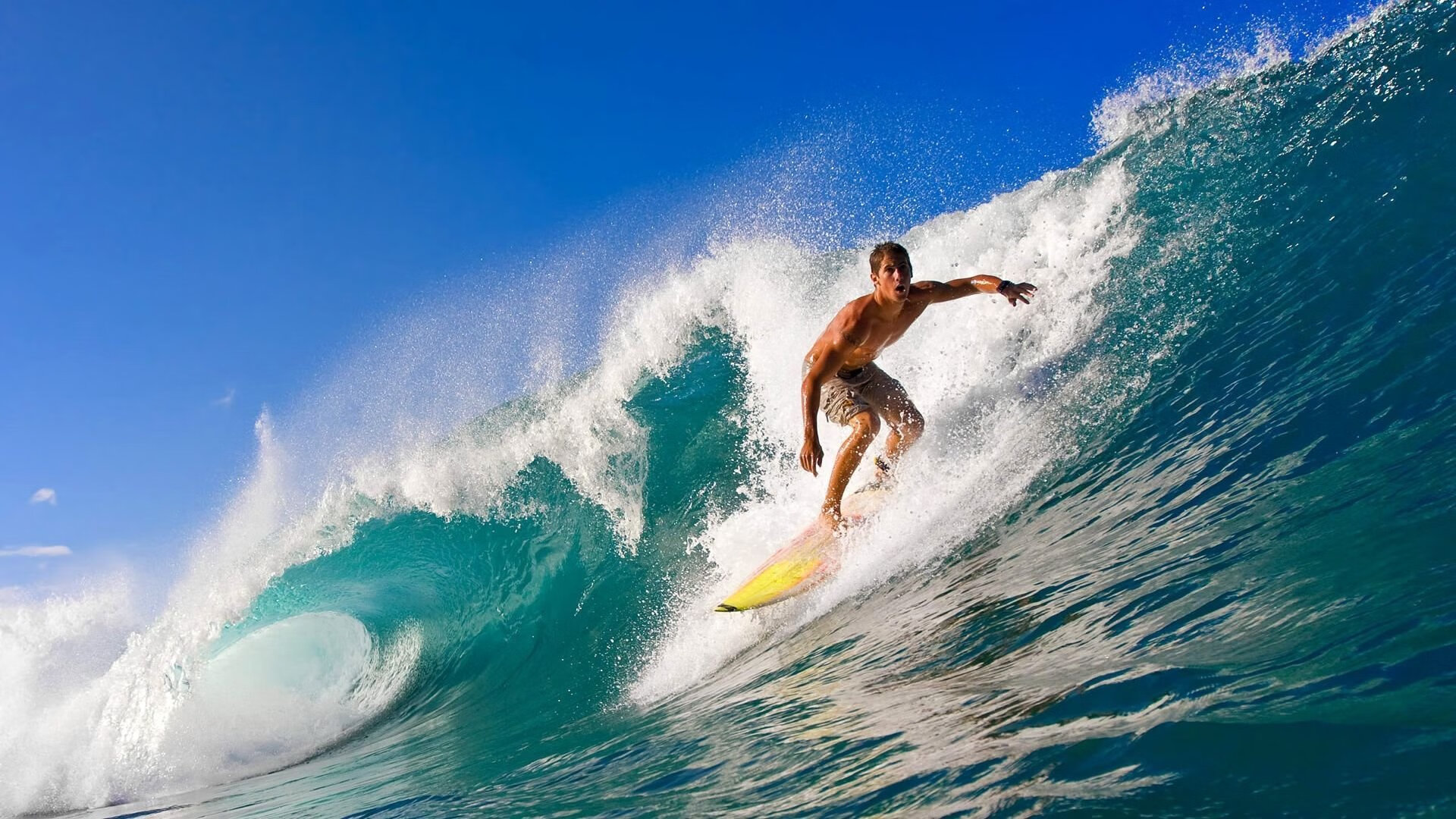 “南非羚羊队的防线铁卫:霍斯特的完美表现”